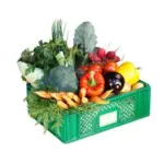 Veggie-Box Family - Gemüsekiste