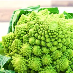 Romanesco