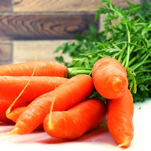 Bundkarotten_1 Bundkarotten – Bild 1