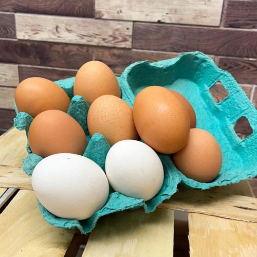 Eier_BIO_1 Weide-Eier, Freiland aus Geisenfeld (10 er Pack) – Bild 1