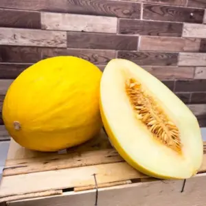 Honigmelone