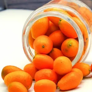 Kumquats