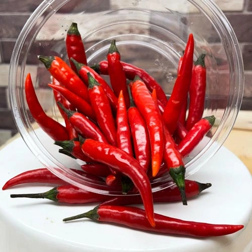 Minichilli_1 Mini-Chili – Bild 1