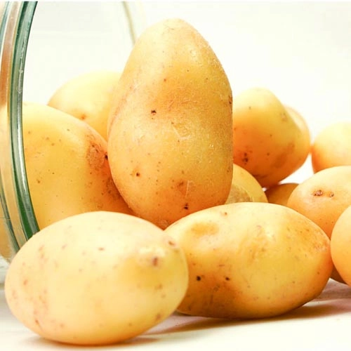 Minikartoffeln_3 Minikartoffeln, lose – Bild 1