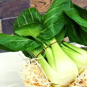 Pak Choi