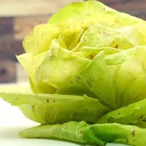 Radicchio Castelfranco