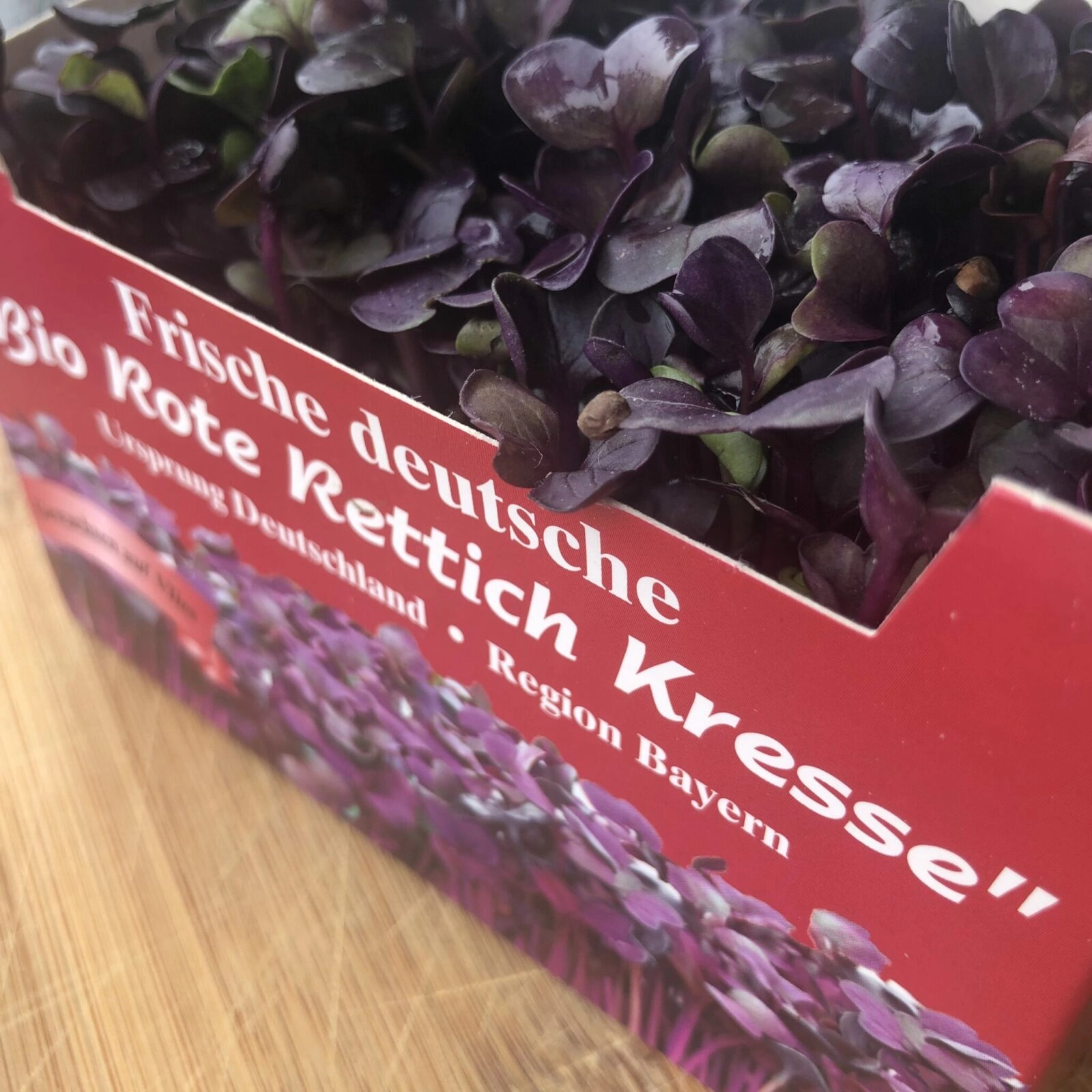 Rote_Kresse Rote Rettichkresse Kästchen – Bild 1