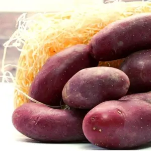 Rotschalige Kartoffeln, lose