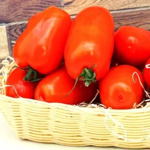 San Marzano /Eiertomaten