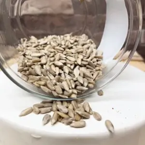 Sonnenblumenkerne