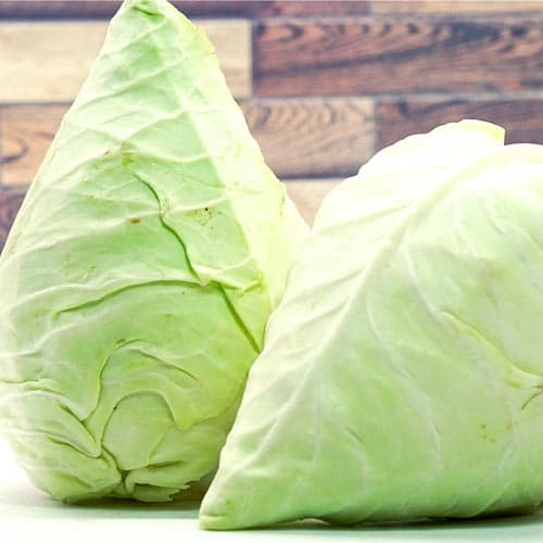 Spitzkohl_1 Spitzkraut – Bild 1