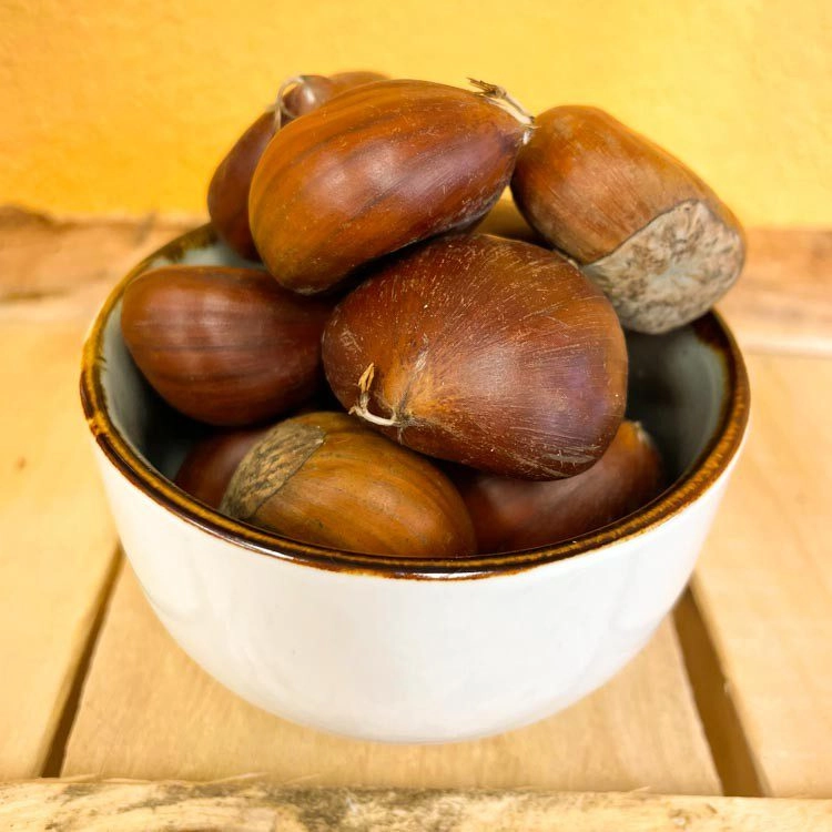 Maroni_1.jpeg Maroni – Bild 1