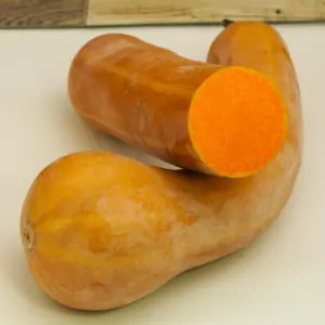 Nizza Kürbis