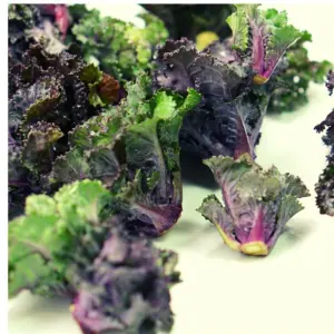 Flowersprouts