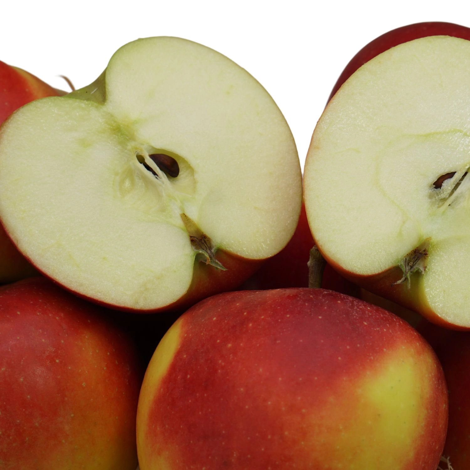 Elstarapfel Elstar Apfel – Bild 1
