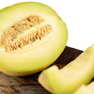 Galiamelone