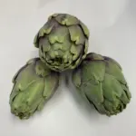 Riesenchampignon (Parablu) – Bild 13