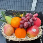 Riesenchampignon (Parablu) – Bild 5