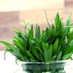 Bohnenkraut, Bundware – Bild 2