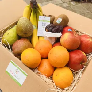Obst Probekiste #1