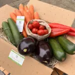 Gemüse Probekiste #1 – Bild 2