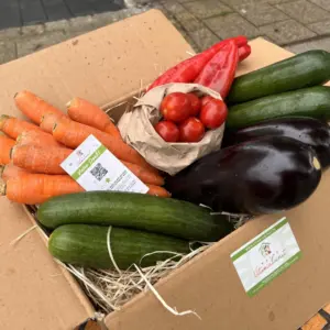 Gemüse Probekiste #1