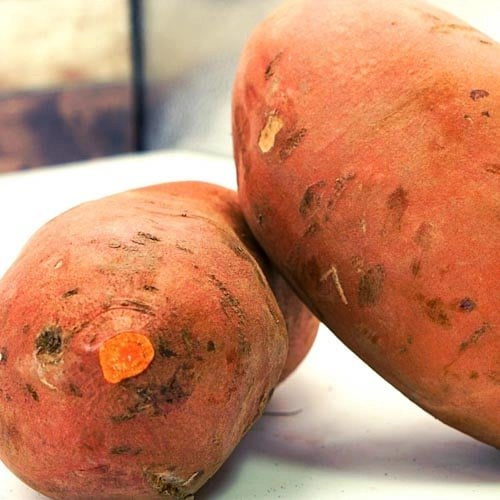 Suesskartoffeln_3 Süßkartoffeln – Bild 1