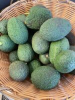 Avocado, BIO