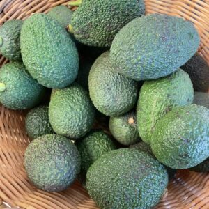 Avocado, BIO