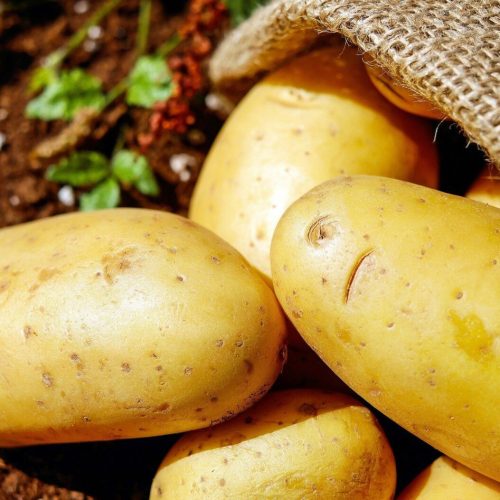 Kartoffeln – K. & A Rittner Kartoffeln - K. & A Rittner